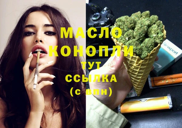 индика Ладушкин
