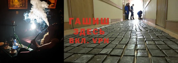 индика Ладушкин
