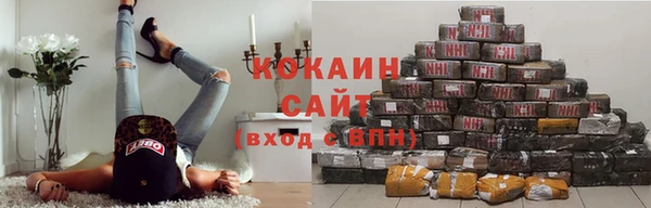 индика Ладушкин
