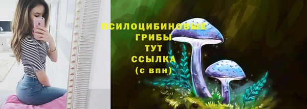 МДМА Лабытнанги