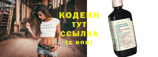 хмурый Лиски