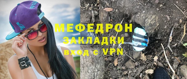 индика Ладушкин