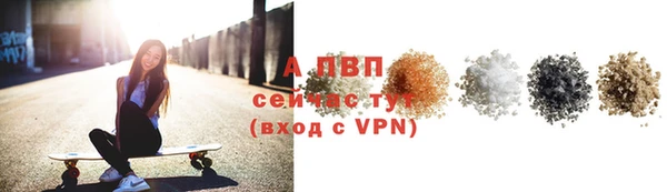 индика Ладушкин