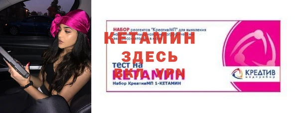индика Ладушкин
