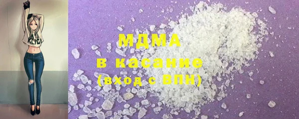 индика Ладушкин