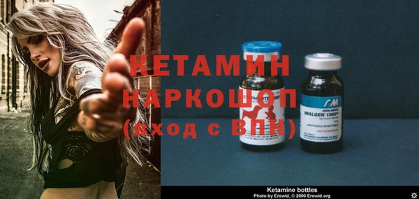 индика Ладушкин