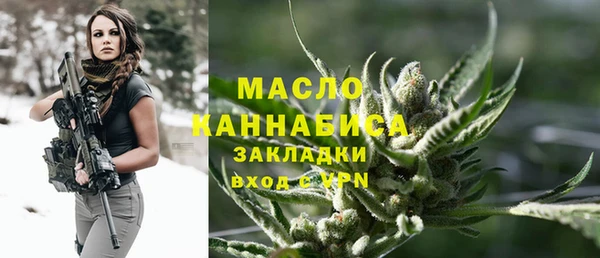 индика Ладушкин