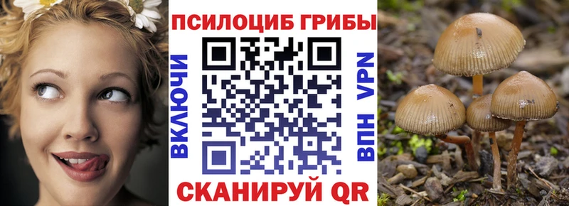 Галлюциногенные грибы ЛСД  Купить где  Избербаш 